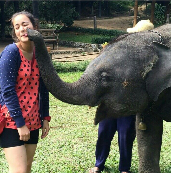 10 reasons to visit Chiang mai | Lj Tour Story Telling Journey