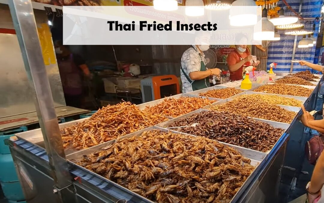 Thai Fried Insects