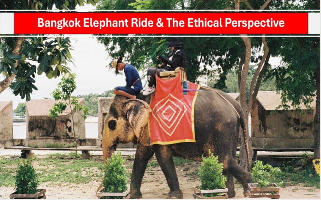 Bangkok Elephant Ride & The Ethical Perspective