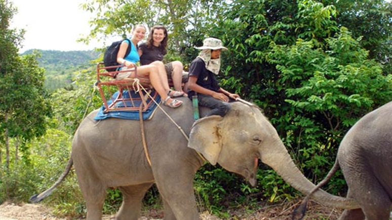 elephant-trekking-thailand
